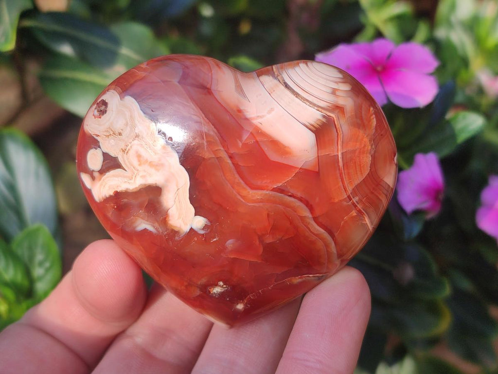 Polished Carnelian Agate Gemstone Hearts x 6 From Madagascar