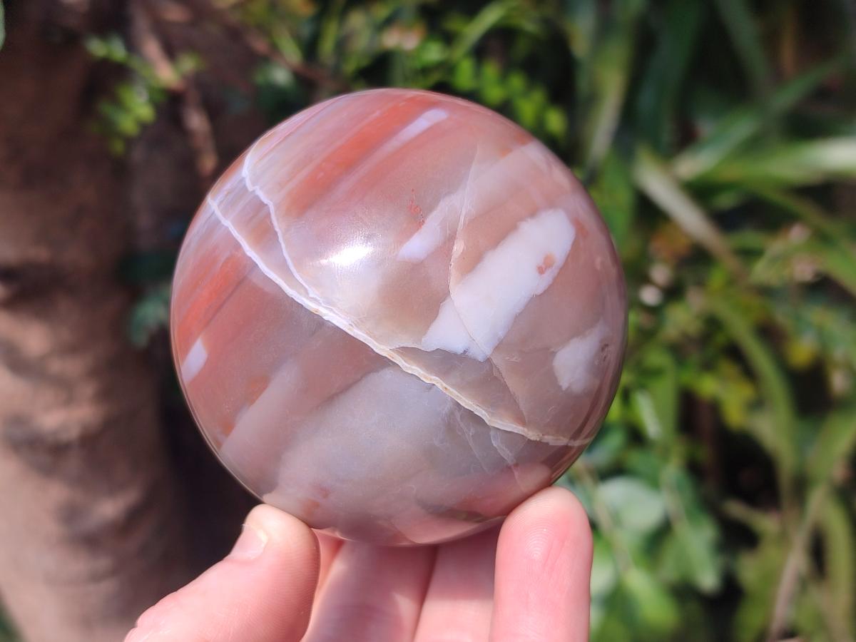Polished Red Shashe River Agate Spheres x 2 From Shashe River, Zimbabwe