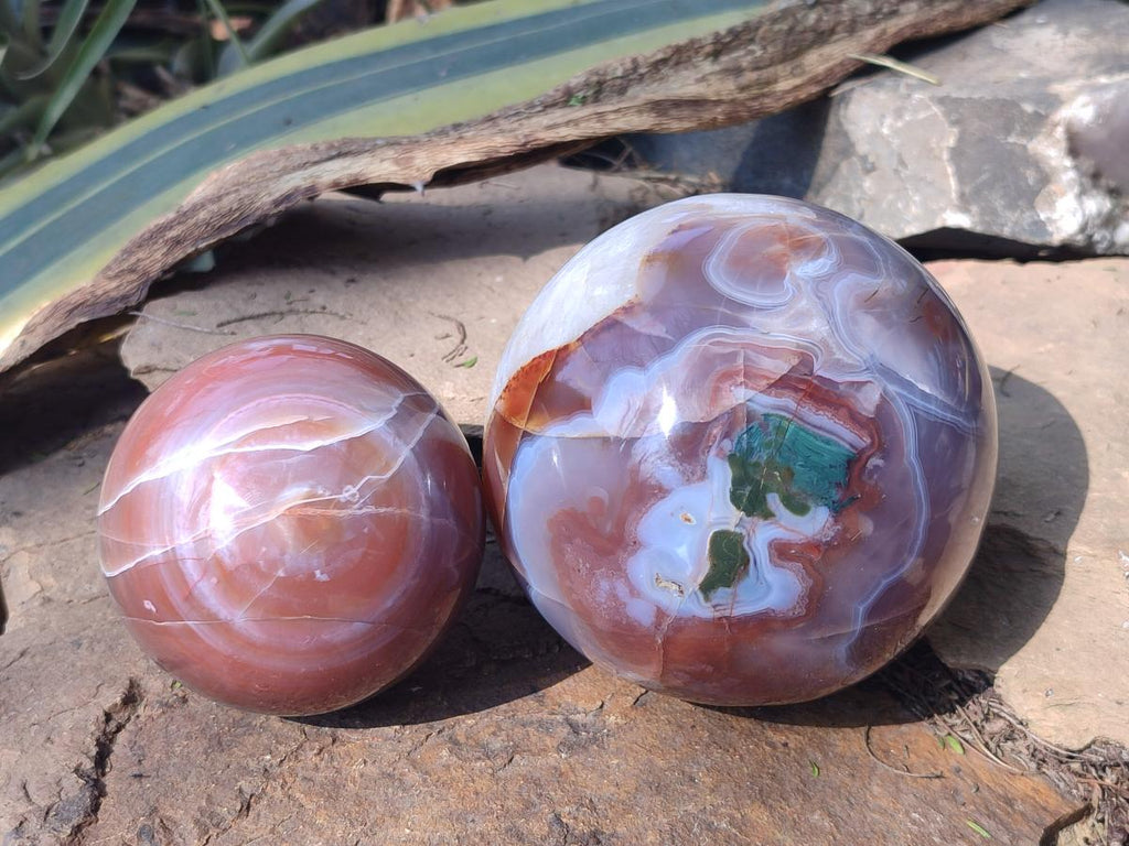 Polished Red Shashe River Agate Spheres x 2 From Shashe River, Zimbabwe