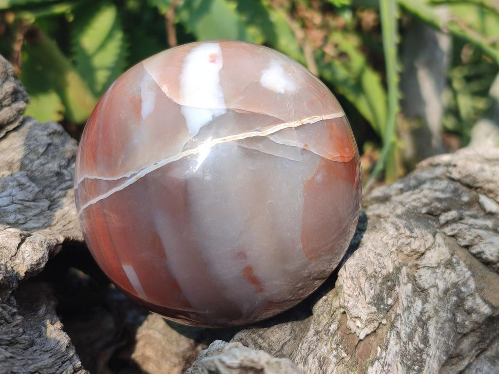 Polished Red Shashe River Agate Spheres x 2 From Shashe River, Zimbabwe