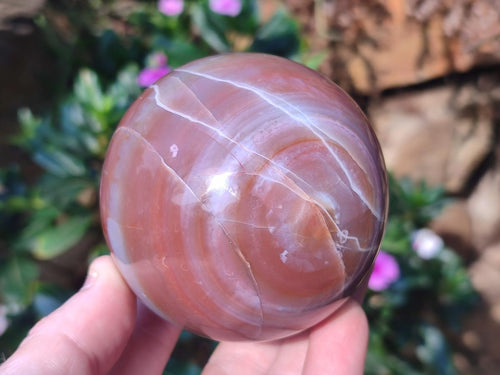 Polished Red Shashe River Agate Spheres x 2 From Shashe River, Zimbabwe