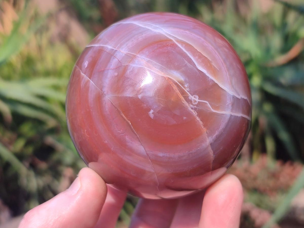 Polished Red Shashe River Agate Spheres x 2 From Shashe River, Zimbabwe