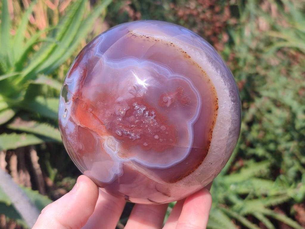 Polished Red Shashe River Agate Spheres x 2 From Shashe River, Zimbabwe