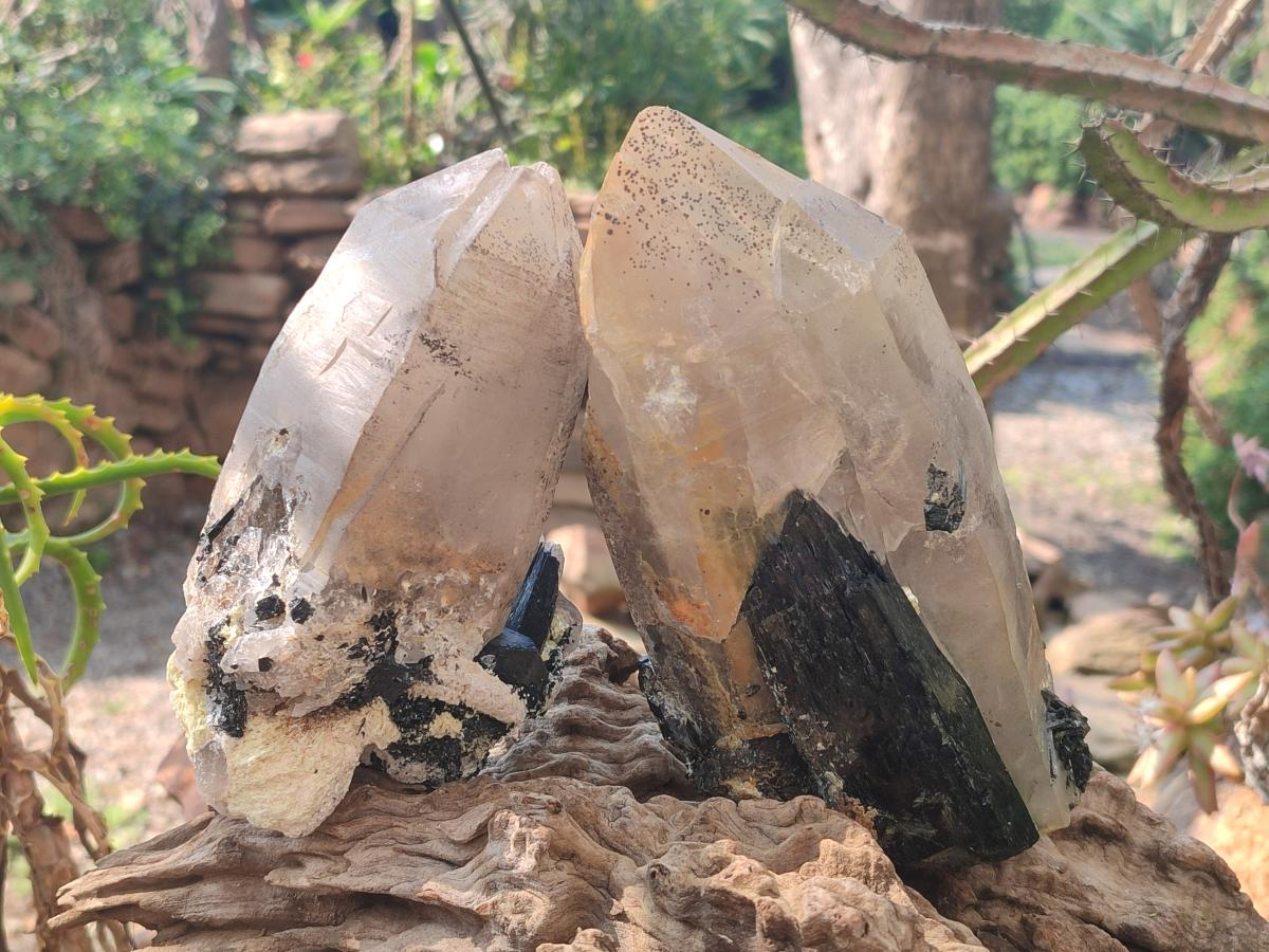 Natural Smokey Quartz Crystals with Associated Minerals x 2 From Erongo, Namibia