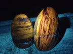 Polished Red Podocarpus Petrified Wood Standing Display Pieces x 3 From Mahajanga, Madagascar