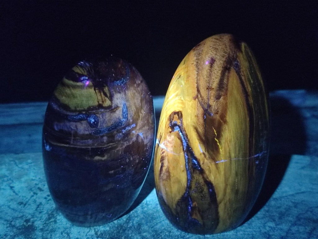 Polished Red Podocarpus Petrified Wood Standing Display Pieces x 3 From Mahajanga, Madagascar