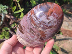 Polished Red Podocarpus Petrified Wood Standing Display Pieces x 3 From Mahajanga, Madagascar