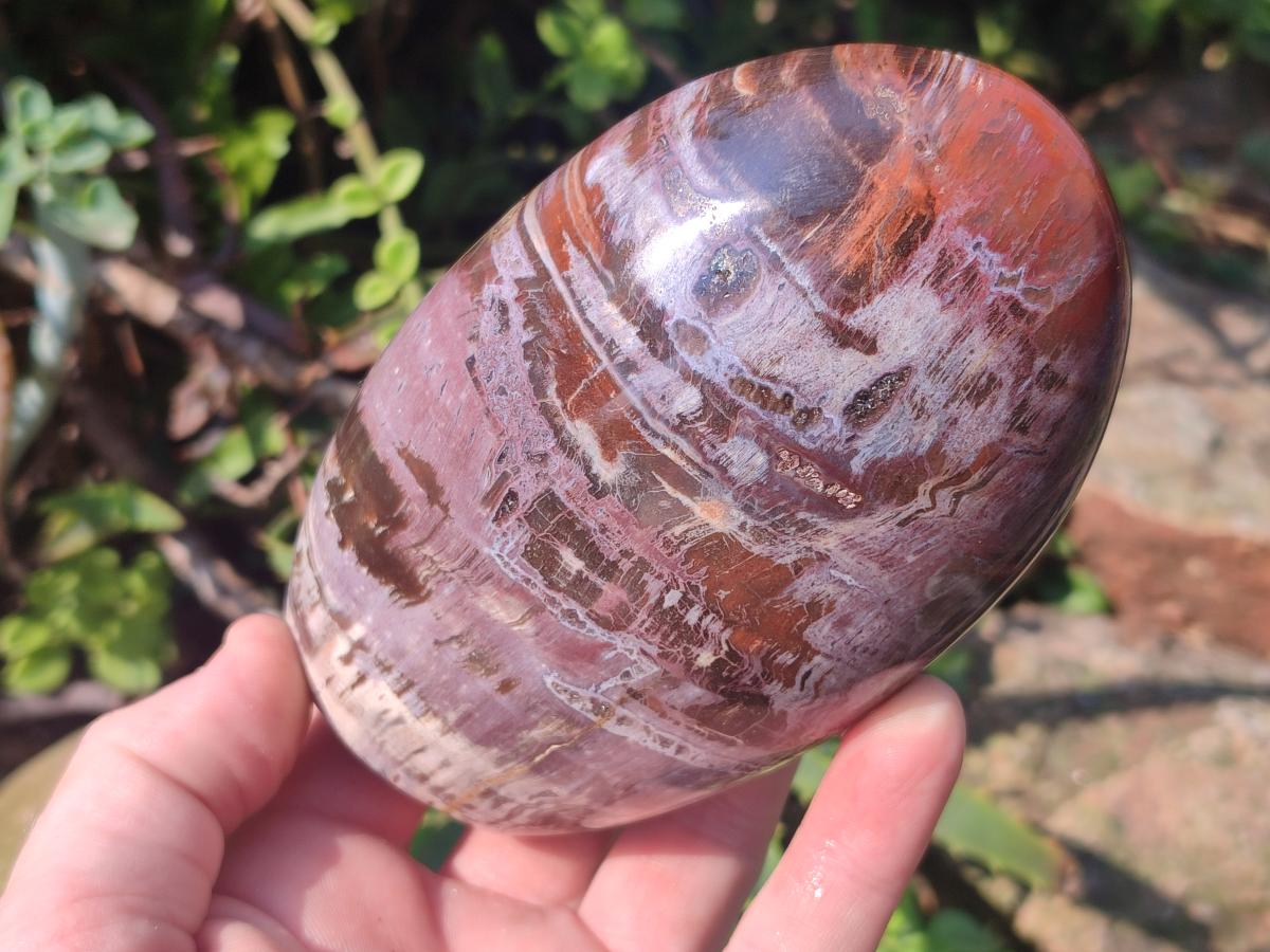 Polished Red Podocarpus Petrified Wood Standing Display Pieces x 3 From Mahajanga, Madagascar