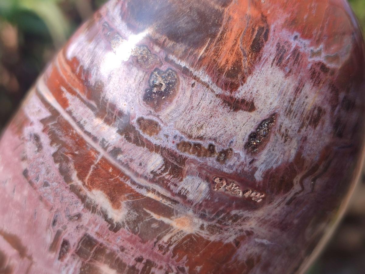 Polished Red Podocarpus Petrified Wood Standing Display Pieces x 3 From Mahajanga, Madagascar