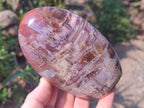 Polished Red Podocarpus Petrified Wood Standing Display Pieces x 3 From Mahajanga, Madagascar