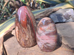 Polished Red Podocarpus Petrified Wood Standing Display Pieces x 3 From Mahajanga, Madagascar