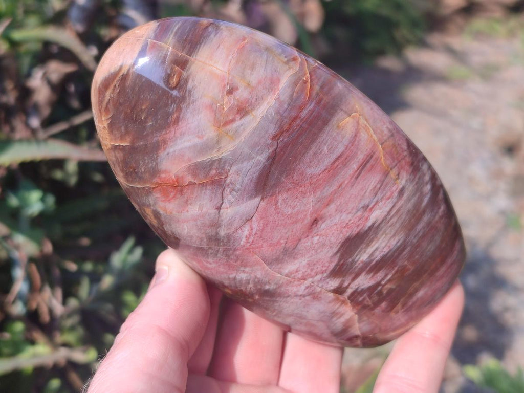 Polished Red Podocarpus Petrified Wood Standing Display Pieces x 3 From Mahajanga, Madagascar