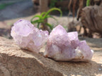 Natural Spirit Amethyst Clusters x 12 From Boekenhouthoek, South Africa