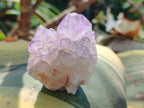 Natural Spirit Amethyst Clusters x 12 From Boekenhouthoek, South Africa
