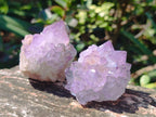 Natural Spirit Amethyst Clusters x 12 From Boekenhouthoek, South Africa