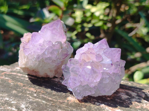 Natural Spirit Amethyst Clusters x 12 From Boekenhouthoek, South Africa
