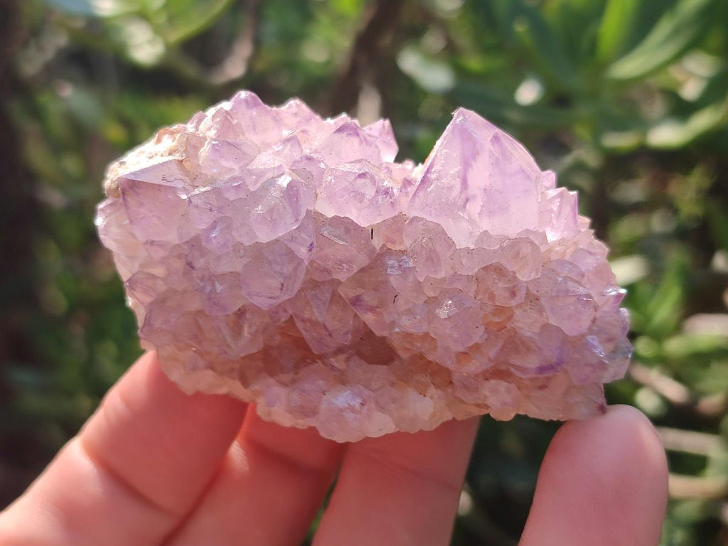 Natural Spirit Amethyst Clusters x 12 From Boekenhouthoek, South Africa
