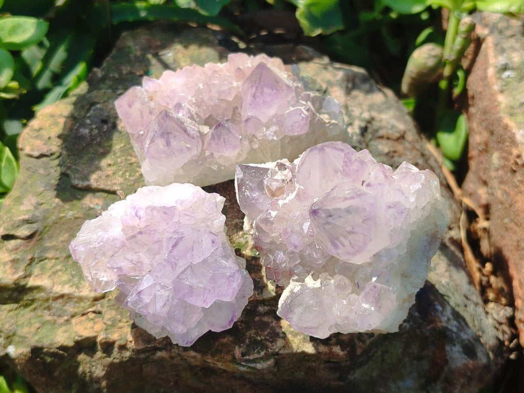 Natural Spirit Amethyst Clusters x 12 From Boekenhouthoek, South Africa