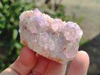 Natural Spirit Amethyst Clusters x 12 From Boekenhouthoek, South Africa