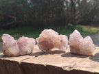 Natural Spirit Amethyst Clusters x 12 From Boekenhouthoek, South Africa