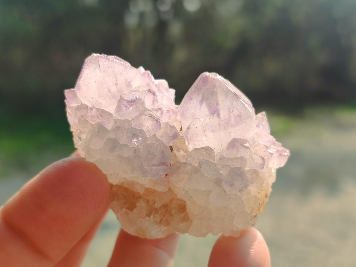 Natural Spirit Amethyst Clusters x 12 From Boekenhouthoek, South Africa