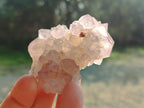Natural Spirit Amethyst Clusters x 12 From Boekenhouthoek, South Africa
