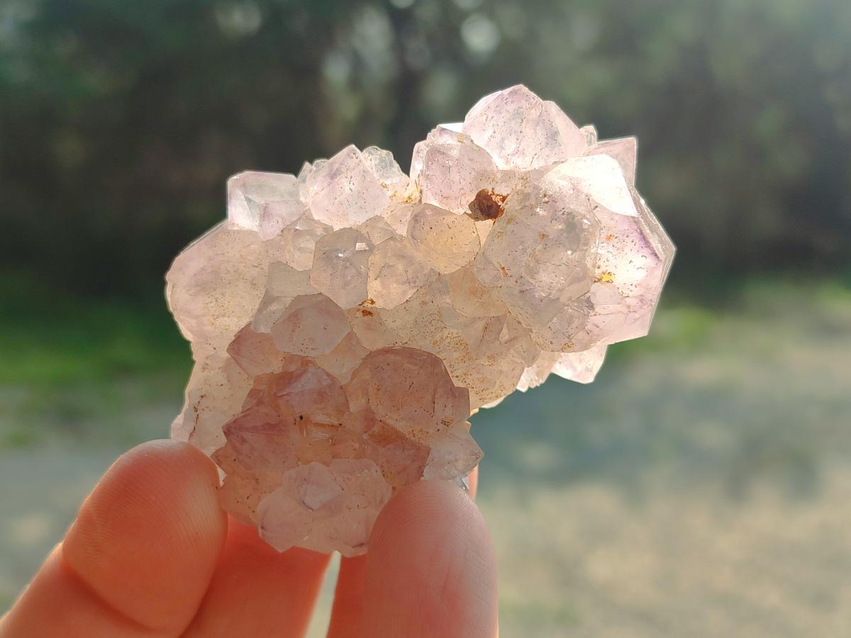 Natural Spirit Amethyst Clusters x 12 From Boekenhouthoek, South Africa
