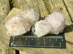 Natural Spirit Amethyst Clusters x 12 From Boekenhouthoek, South Africa