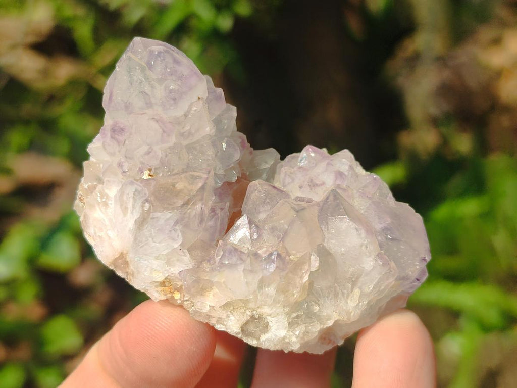 Natural Spirit Amethyst Clusters x 12 From Boekenhouthoek, South Africa