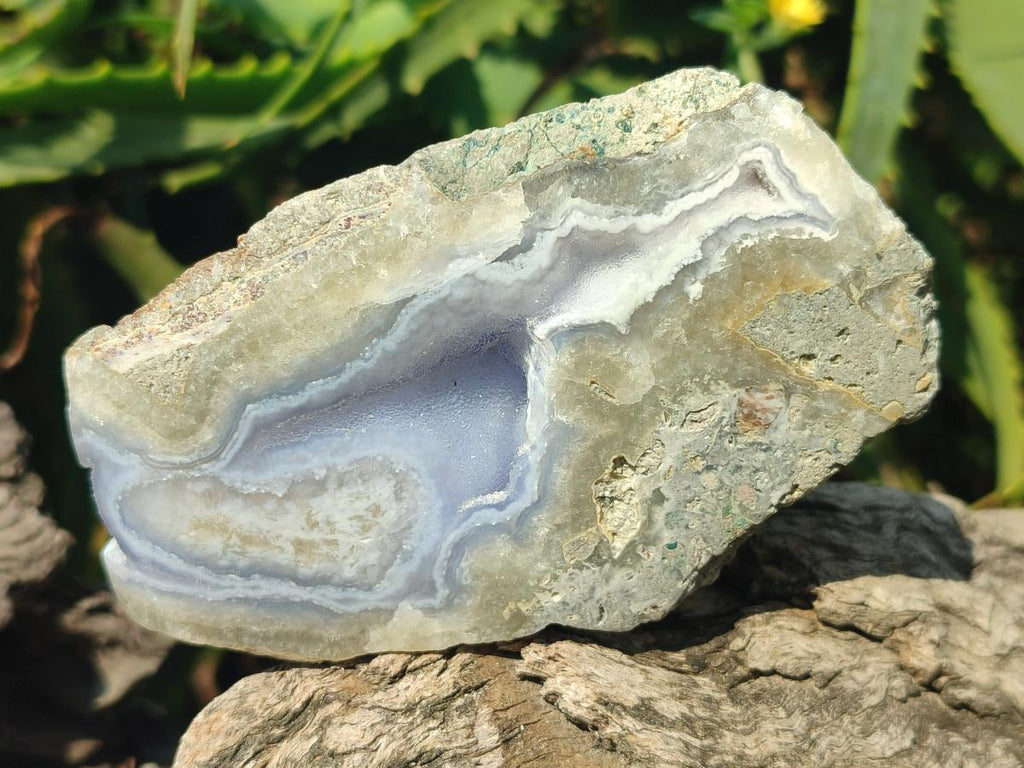 Polished One Side Blue Lace Agate Geodes x 13 From Nsanje, Malawi
