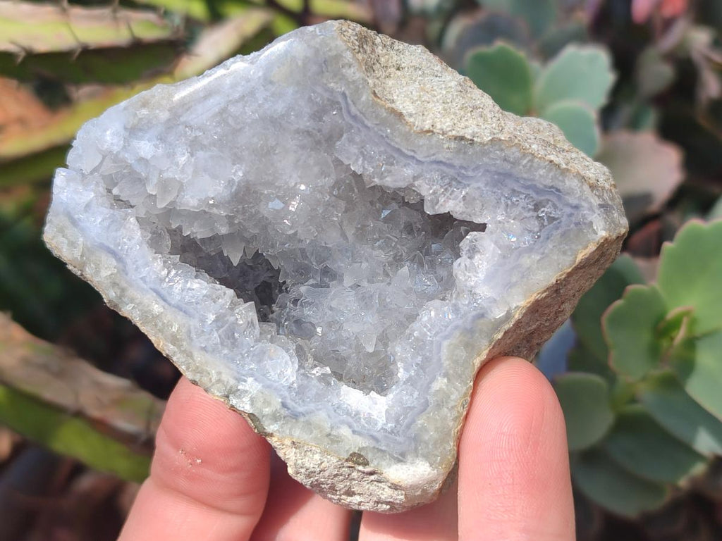 Polished One Side Blue Lace Agate Geodes x 13 From Nsanje, Malawi