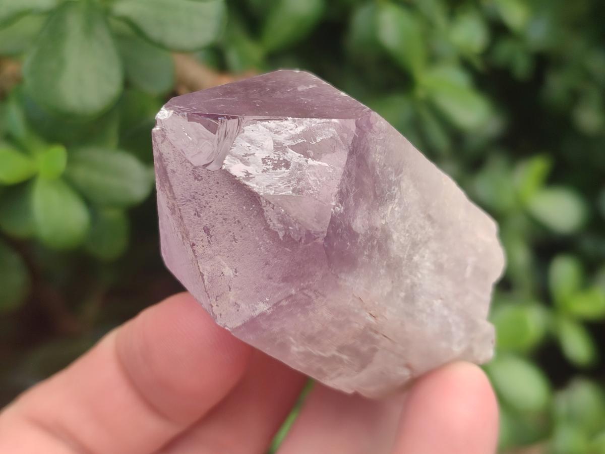 Natural Jacaranda Amethyst Single Crystals x 36 From Mumbwa, Zambia
