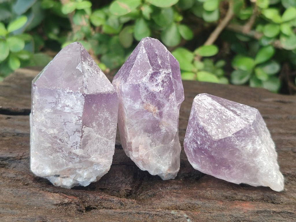 Natural Jacaranda Amethyst Single Crystals x 36 From Mumbwa, Zambia