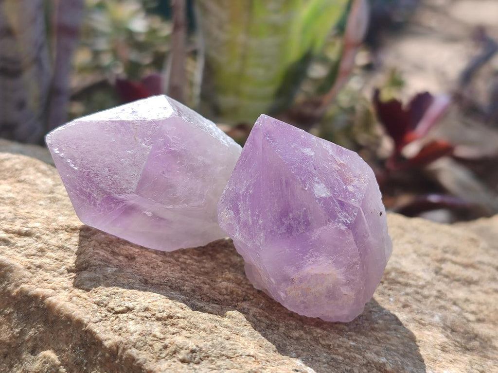 Natural Jacaranda Amethyst Single Crystals x 36 From Mumbwa, Zambia