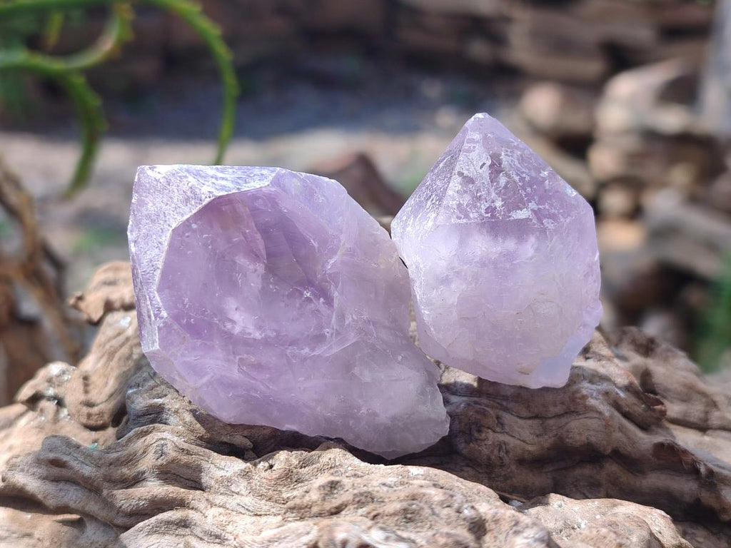Natural Jacaranda Amethyst Single Crystals x 36 From Mumbwa, Zambia