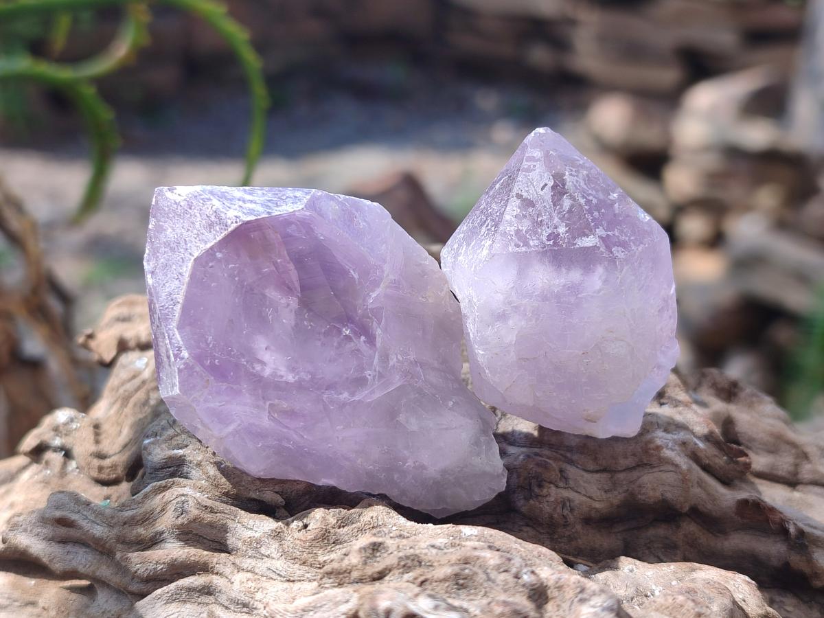 Natural Jacaranda Amethyst Single Crystals x 36 From Mumbwa, Zambia