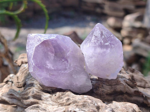 Natural Jacaranda Amethyst Single Crystals x 36 From Mumbwa, Zambia
