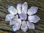 Natural Jacaranda Amethyst Single Crystals x 36 From Mumbwa, Zambia