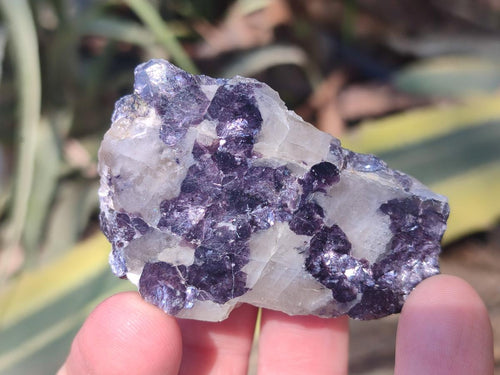 Polished One Side Lithium Silver Leaf Lepidolite x 35 From Zimbabwe