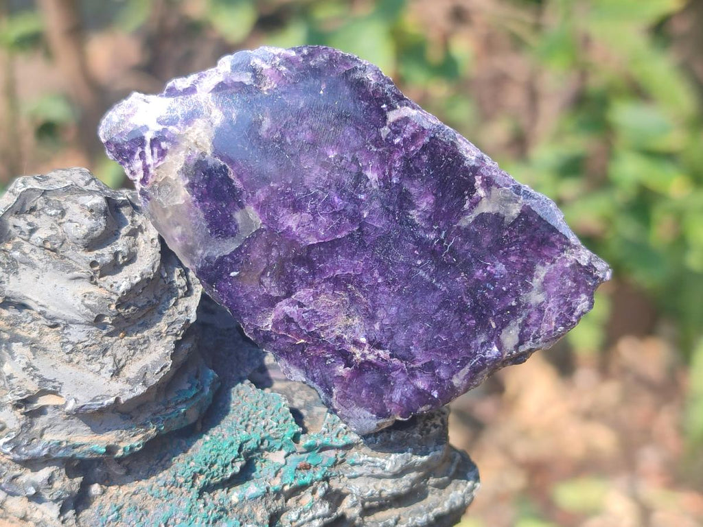 Polished One Side Lithium Silver Leaf Lepidolite x 35 From Zimbabwe