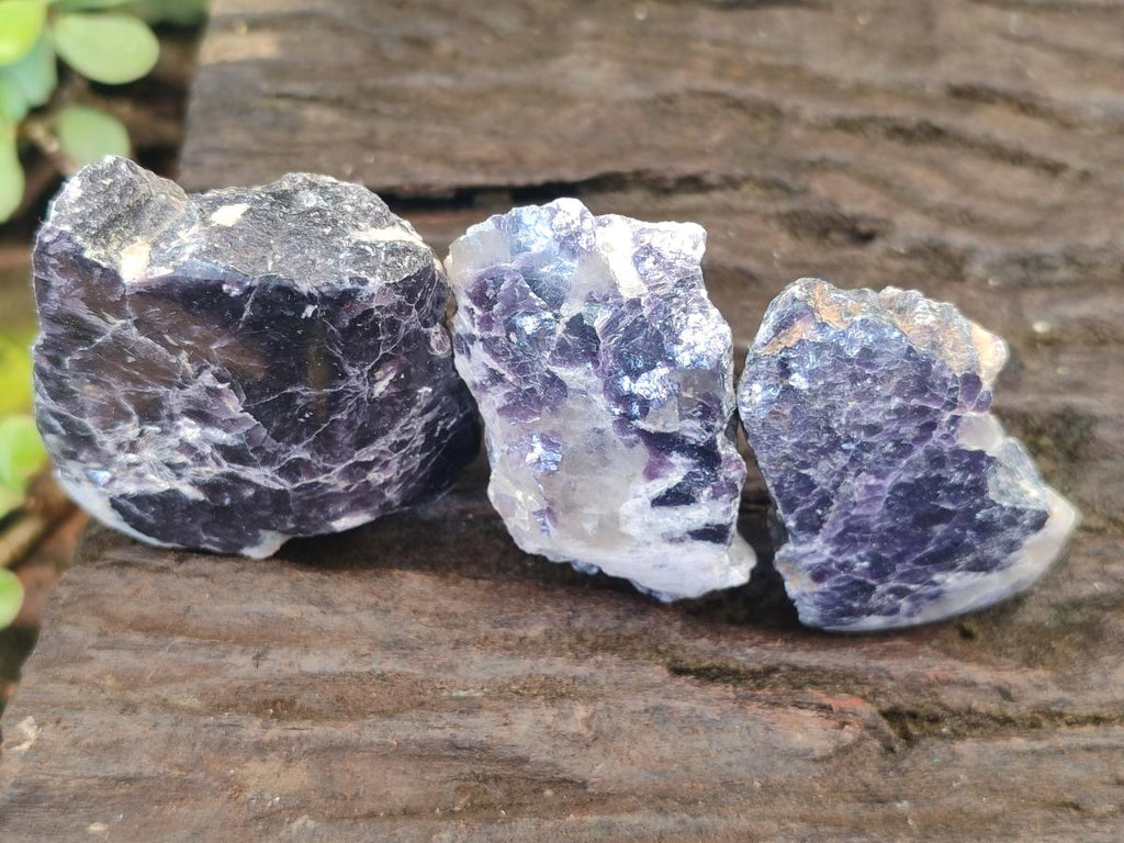 Polished One Side Lithium Silver Leaf Lepidolite x 35 From Zimbabwe