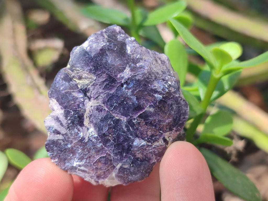 Polished One Side Lithium Silver Leaf Lepidolite x 35 From Zimbabwe