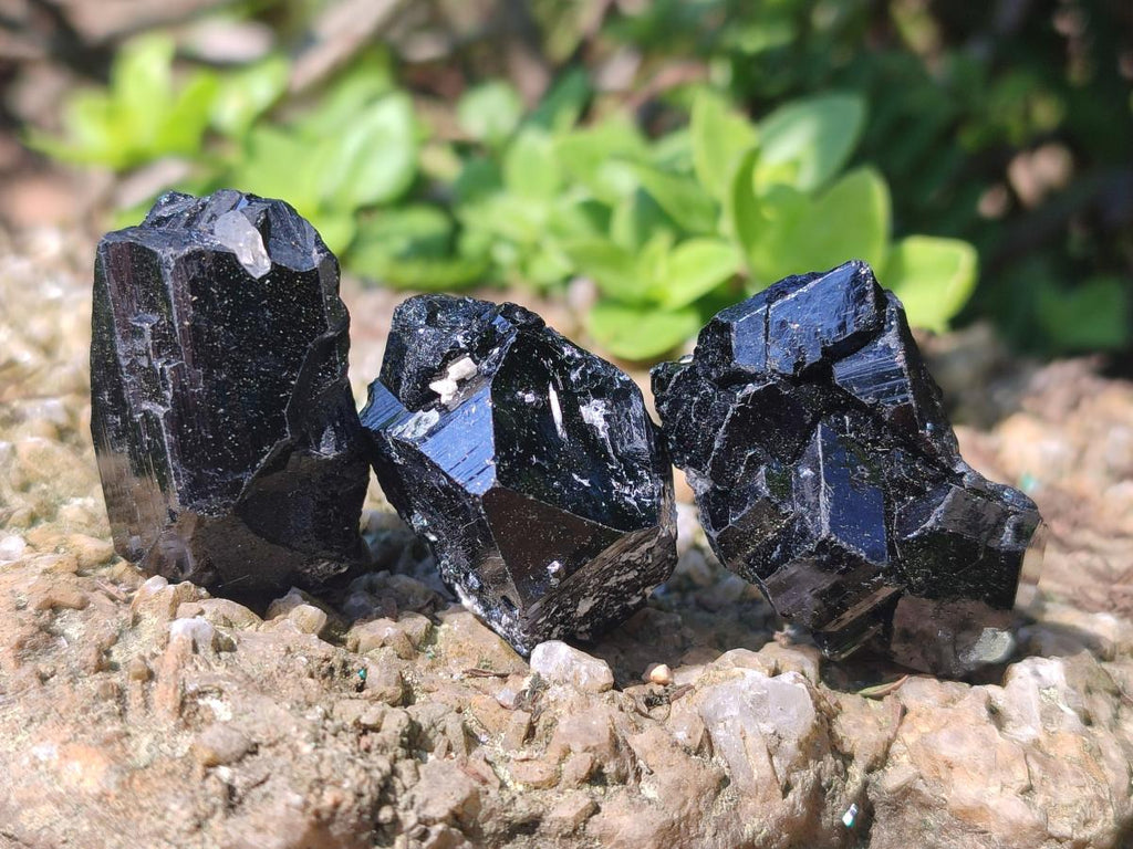 Natural Schorl Black Tourmaline Crystals and Clusters with Associated Minerals x 35 From Erongo, Namibia