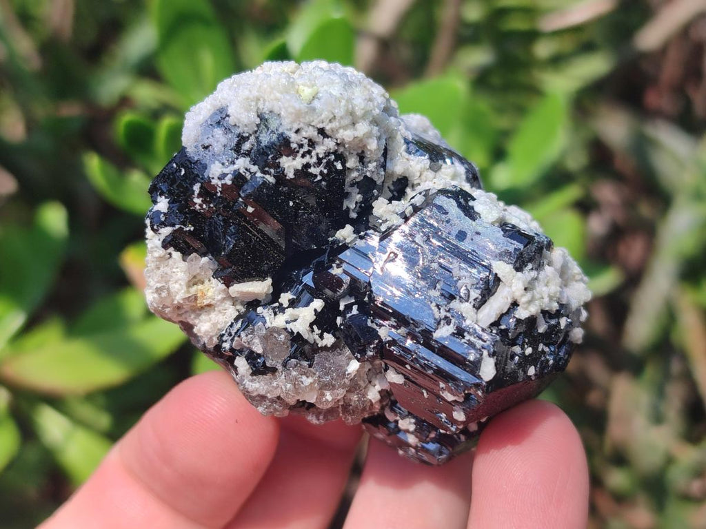 Natural Schorl Black Tourmaline Crystals and Clusters with Associated Minerals x 35 From Erongo, Namibia