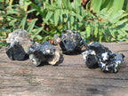 Natural Schorl Black Tourmaline Crystals and Clusters with Associated Minerals x 35 From Erongo, Namibia