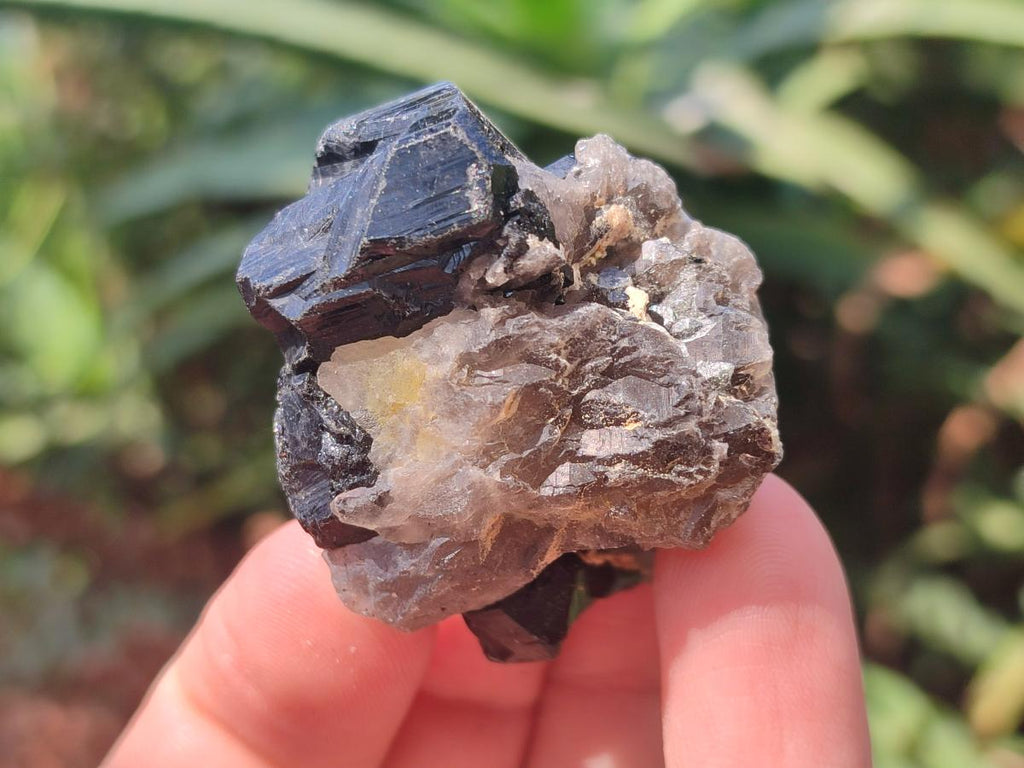 Natural Schorl Black Tourmaline Crystals and Clusters with Associated Minerals x 35 From Erongo, Namibia