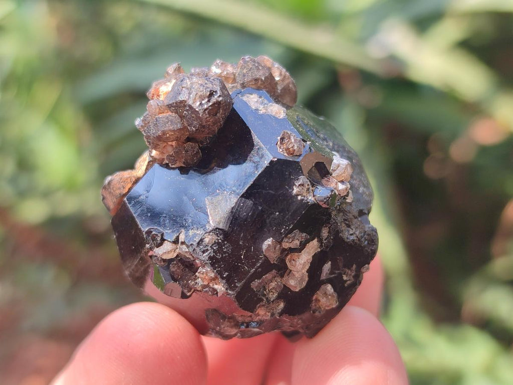 Natural Schorl Black Tourmaline Crystals and Clusters with Associated Minerals x 35 From Erongo, Namibia