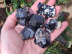 Natural Schorl Black Tourmaline Crystals and Clusters with Associated Minerals x 35 From Erongo, Namibia