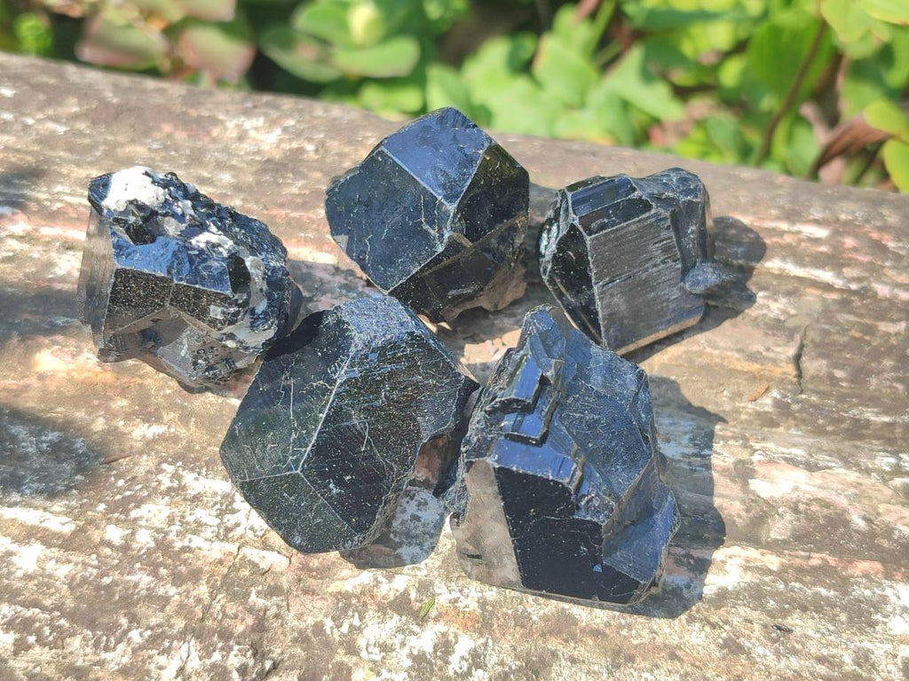 Natural Schorl Black Tourmaline Crystals and Clusters with Associated Minerals x 35 From Erongo, Namibia
