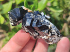 Natural Schorl Black Tourmaline Crystals and Clusters with Associated Minerals x 35 From Erongo, Namibia